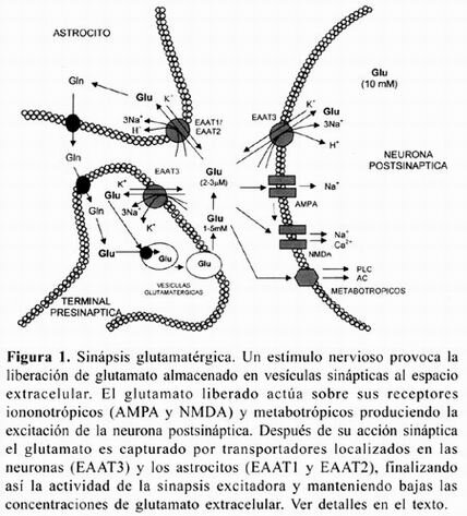 Los mejores consejos para metabolismo glucidos